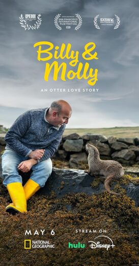 مشاهدة فيلم 2024 Billy & Molly: An Otter Love Story مترجم