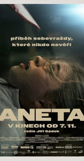 مشاهدة فيلم 2024 Aneta مترجم