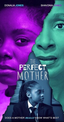 مشاهدة فيلم 2024 The Perfect Mother مترجم