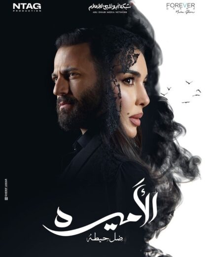 مشاهدة مسلسل الأميرة ضل حيطة الحلقة 9 التاسعة