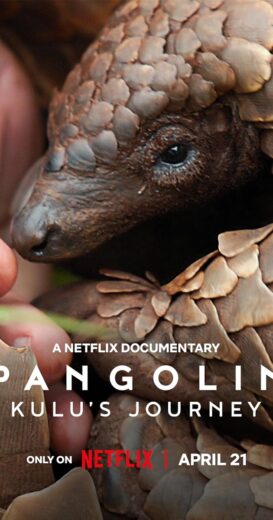 مشاهدة فيلم 2025 Pangolin Kulus Journey مترجم