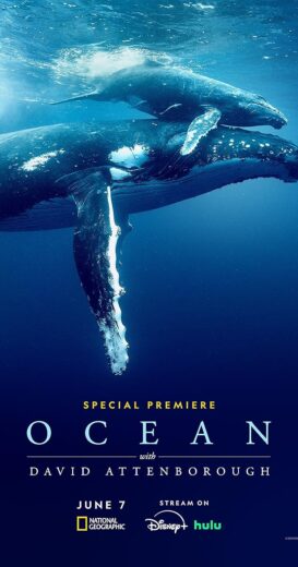 مشاهدة فيلم 2025 Ocean with David Attenborough مترجم