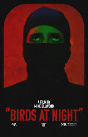 مشاهدة فيلم 2023 Birds at Night مترجم